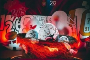 官方：海港啟動吉祥物“海鷹”昵稱征集儀式，結果9月26日揭曉