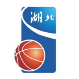湖北全運女籃